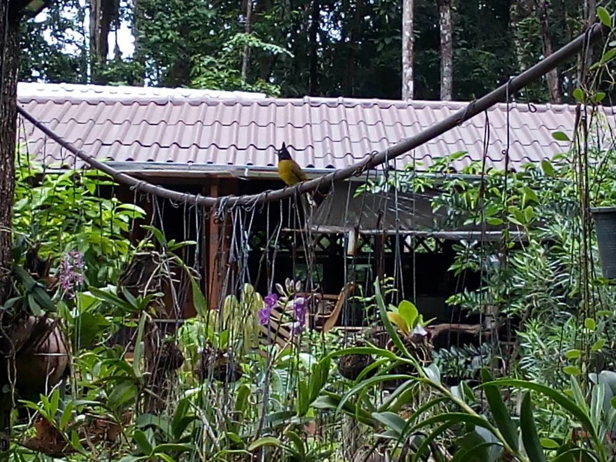 Koh Kood Little Hut Ko Kut Exterior foto
