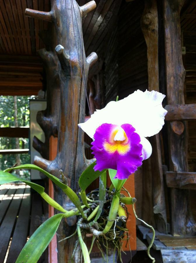 Koh Kood Little Hut Ko Kut Exterior foto