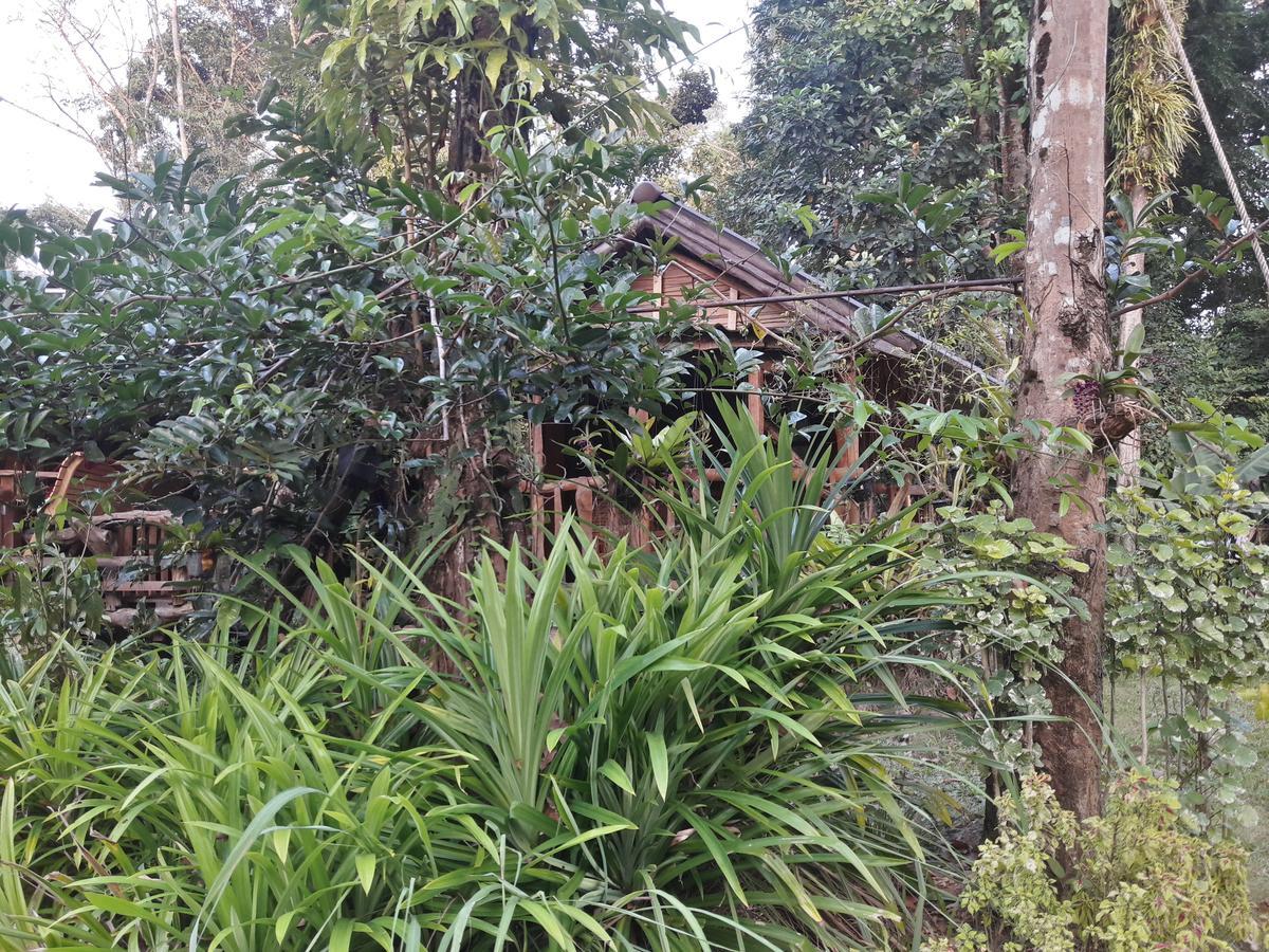 Koh Kood Little Hut Ko Kut Exterior foto